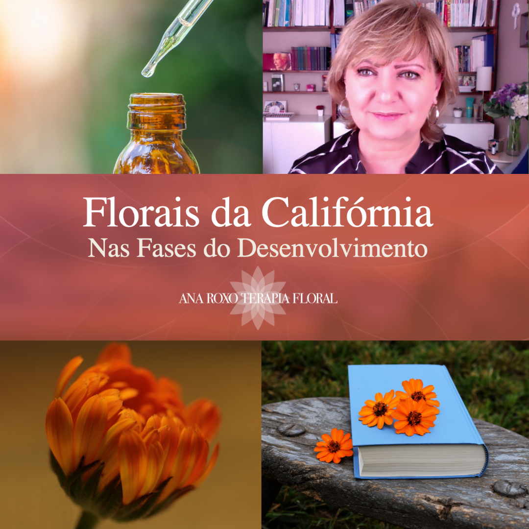 Bach _clinica-370x370