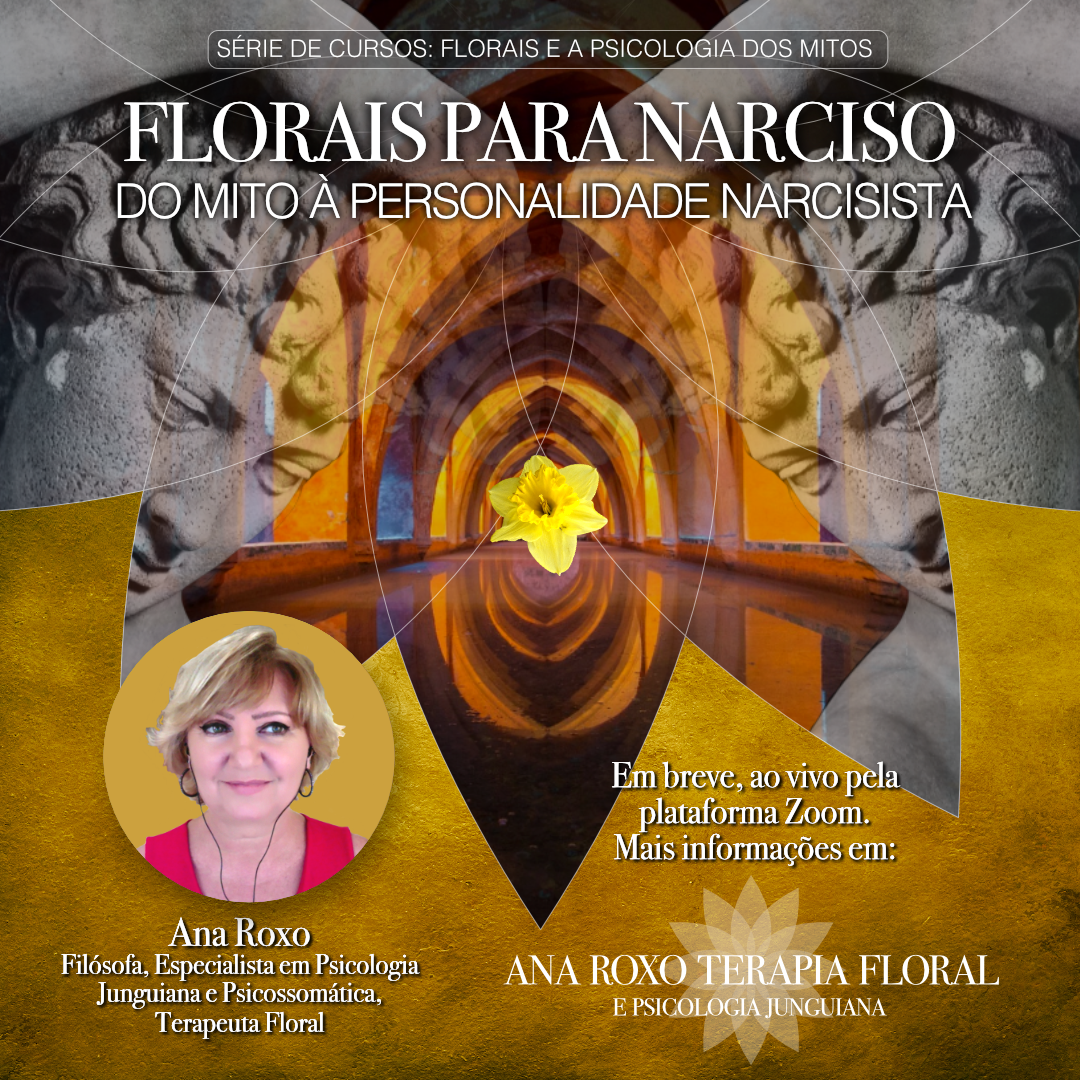 Florais para Narciso