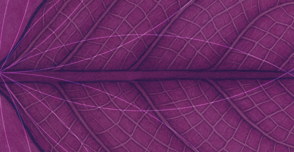 Bach _clinica-370x370